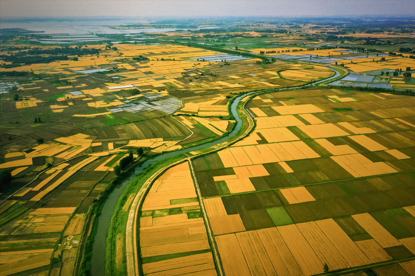 Farmland Landscape