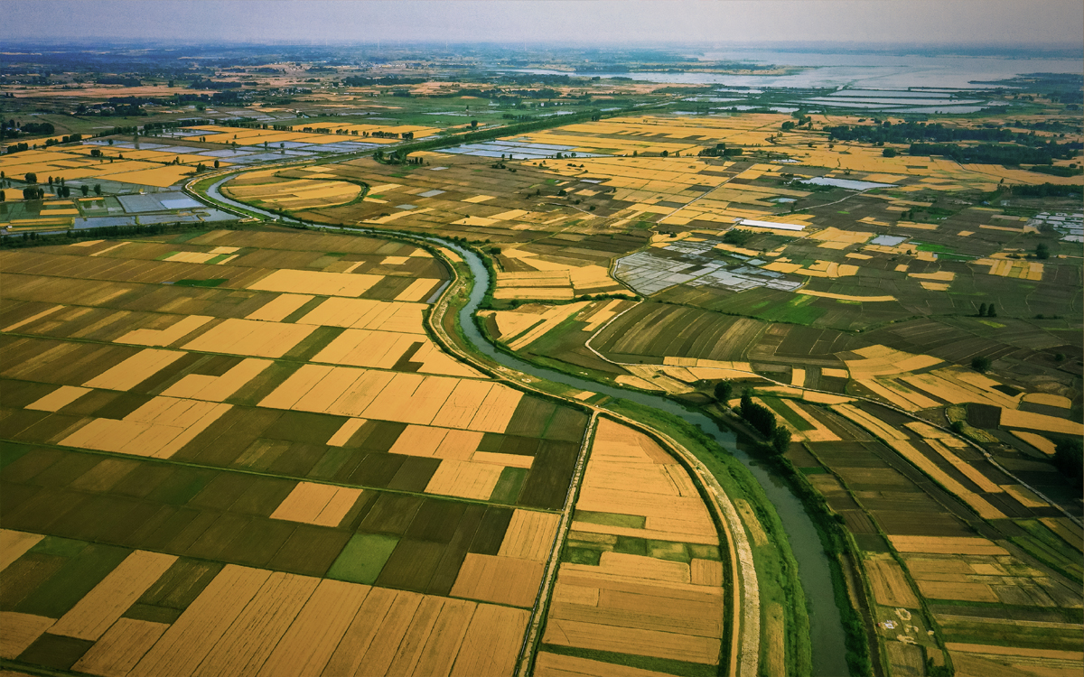 Economic Development