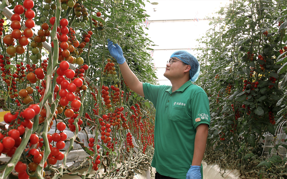 Development Challenges