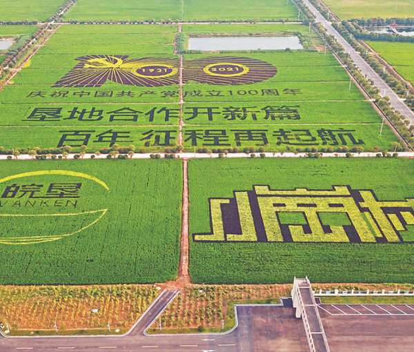 Rural revitalization