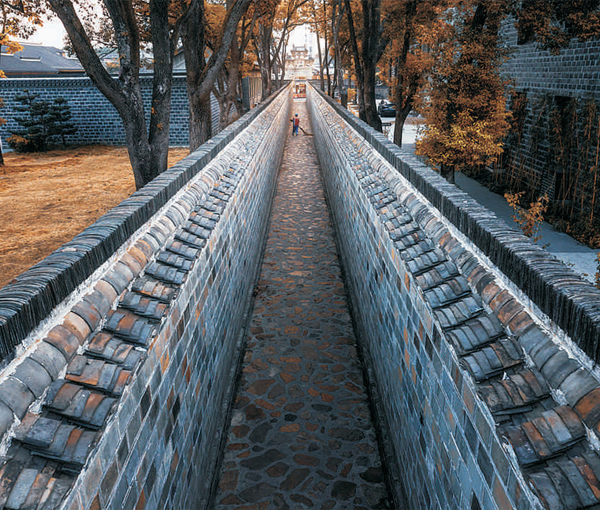 Grassroots governance