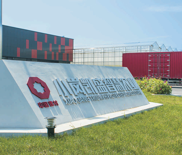 Reform and innovation